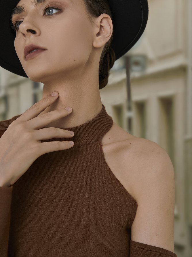 Brown Sexy One Shoulder Sweater