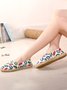 Women's canvas woven flat shoes in colorful lip print